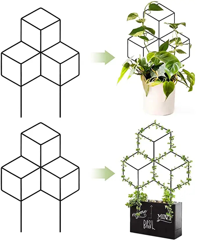 Geometric (Cube) Trellis