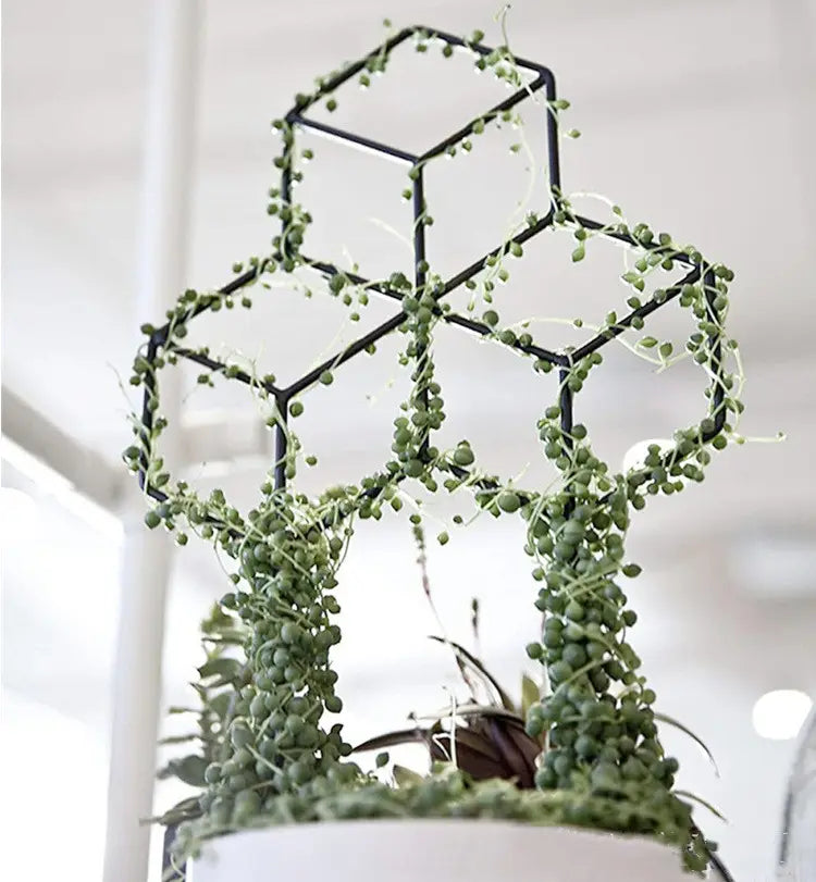 Geometric (Cube) Trellis