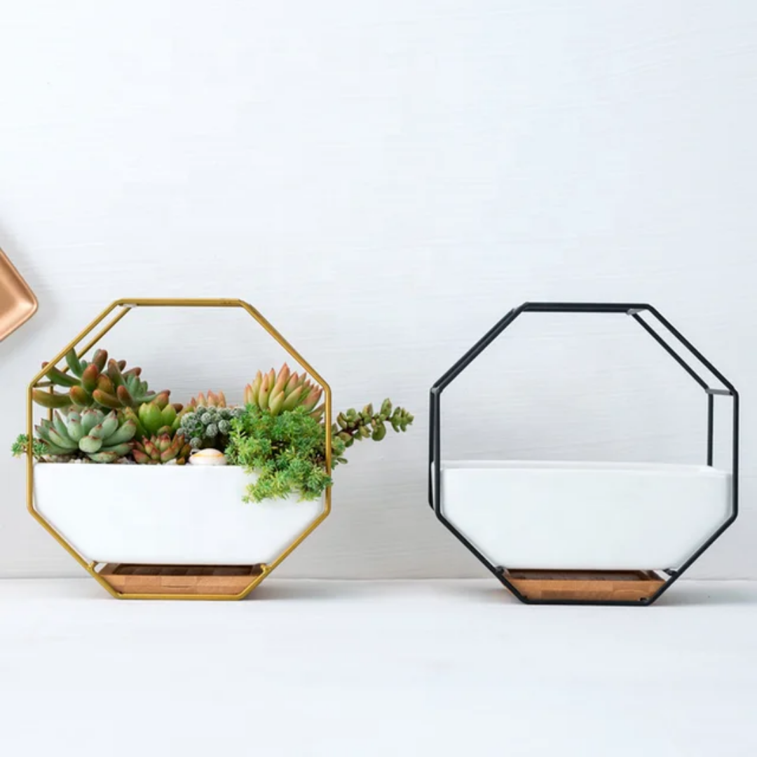 Octagon Planter