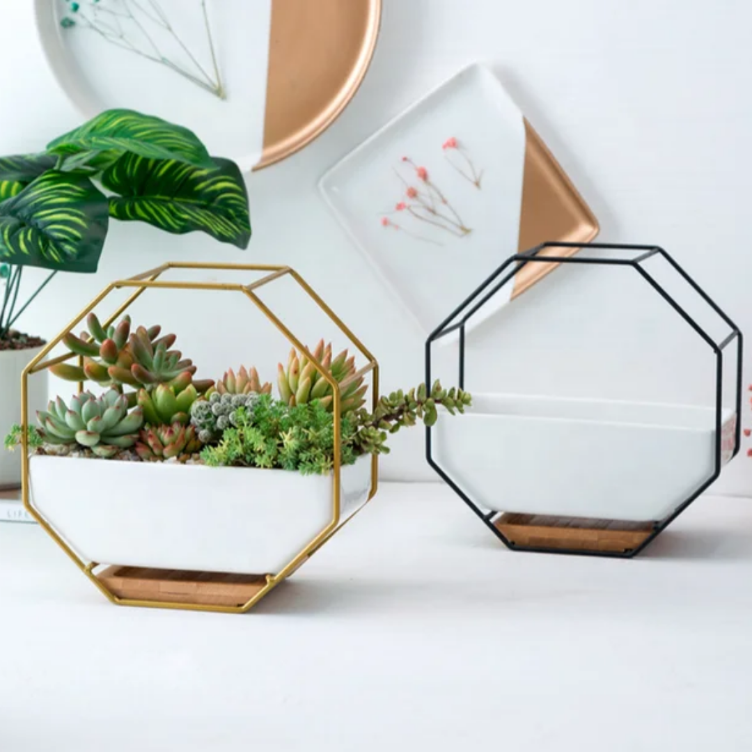 Octagon Planter