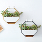 Octagon Planter