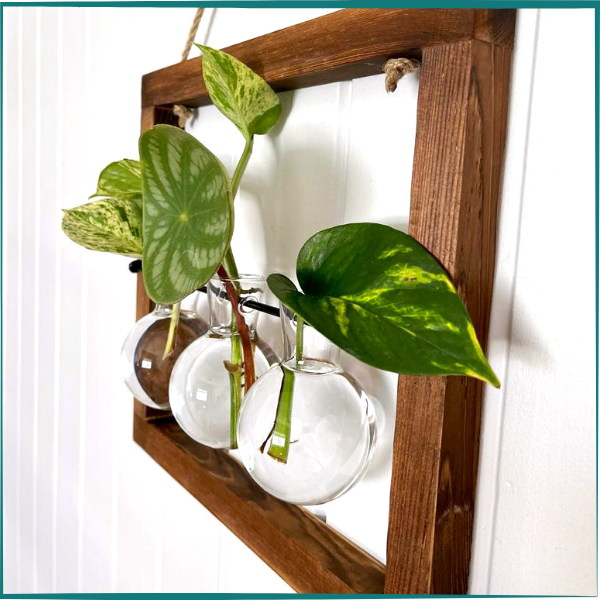 Wall hanging terrarium with green leaves